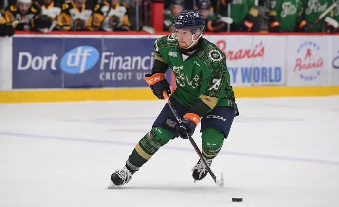 ECHL: Успешный дебют Кузьмина, первая шайба Чайки в сезоне