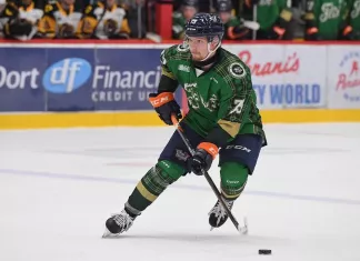 Дмитрий Кузьмин забил дебютный гол в ECHL
