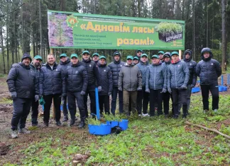 Минское «Динамо» и ФХБ совместно обновили лесной массив