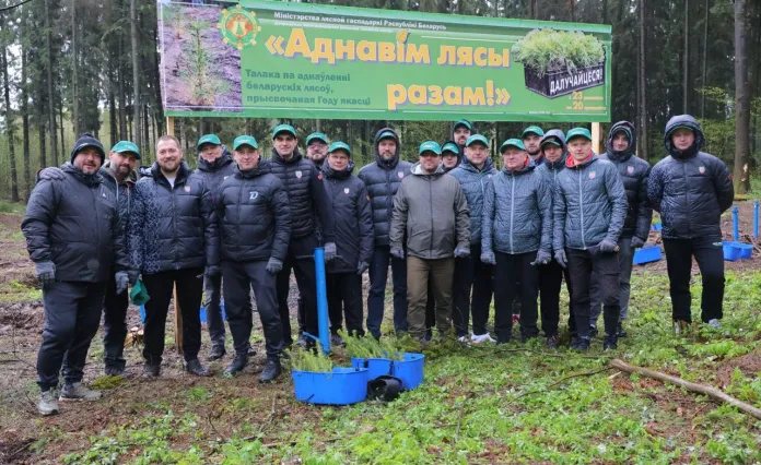 Минское «Динамо» и ФХБ совместно обновили лесной массив