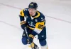 Дмитрий Кузьмин отметился результативным пасом в плей-офф ECHL