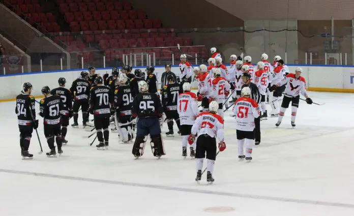 Виктор Артюшенко: Мы выходим играть в хоккей, а не работать в него
