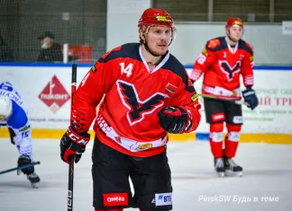 Николай Михайлов: «Ястребам» очень повезло, что реализовали большинство в конце игры