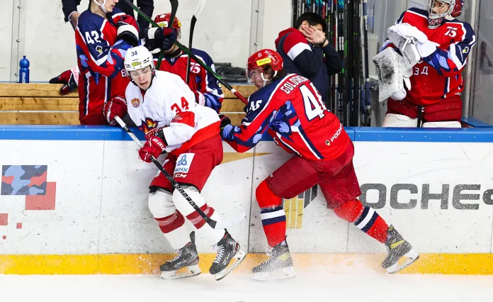 Владимир Джиг забросил 8-ю шайбу в сезоне ВХЛ