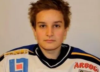 Роман Семёнов: В Швеции привык к совсем другому хоккею