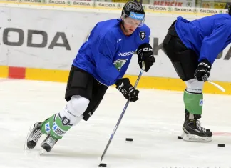 «БХ»: Чешский хоккеист с опытом игры в АХЛ может перейти в «Шахтер»