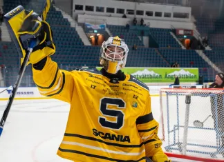 Никита Толопило входит в число лучших вратарей HockeyAllsvenskan