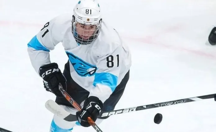 Матвей Ладутько: Михалёв специализируется на атакующем хоккее с полным владением шайбы