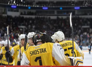 По два сэйва Шостака и Фергюсона вошли в рейтинг лучших спасений недели КХЛ