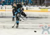 Гол Сэма Энаса занял второе место в ТОП-10 на 13-й игровой неделе КХЛ