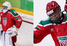 «Динамо-Шинник» заключил пробные контракты с двумя хоккеистами