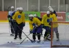 Восемь хоккеистов «Медведей» проходят предсезонный сбор вместе с «Витебском»