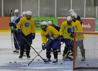 Восемь хоккеистов «Медведей» проходят предсезонный сбор вместе с «Витебском»