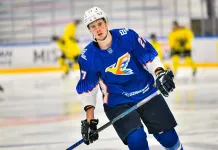 Защитник с опытом игры в КХЛ и Северной Америке может перейти в «Гомель»