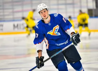 Защитник с опытом игры в КХЛ и Северной Америке может перейти в «Гомель»