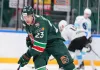 Чешский форвард Яшкин может перестать считаться легионером в КХЛ