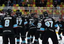 29 игроков прибыли на сбор «Динамо-Шинника»