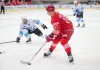 Назван главный претендент на Николая Голдобина