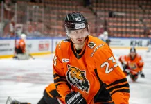 Один из лучших силовиков КХЛ стал игроком минского «Динамо»