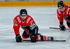 ВХЛ. Кодола сделал хет-трик и стал игроком дня — статистика белорусов 11 октября