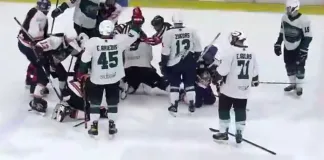 В Латвии хоккеисты устроили массовую драку из-за русского языка