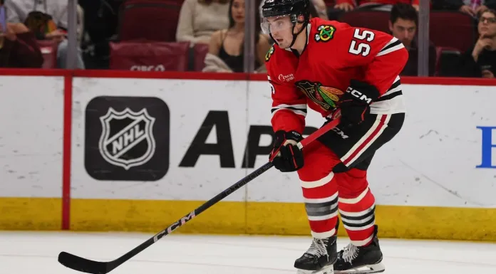 НХЛ. Штанга Алексея Протаса, ассист Левшунова, небольшой айстайм Шаранговича, Соловьёв снова вне состава – статистика белорусов 29 октября