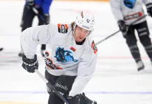 Алекс Лимож — об игре в одном звене с Пинчуком и Энасом Алекс Лимож — об игре в одном звене с Пинчуком и Энасом