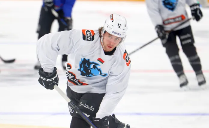 Алекс Лимож — об игре в одном звене с Пинчуком и Энасом Алекс Лимож — об игре в одном звене с Пинчуком и Энасом