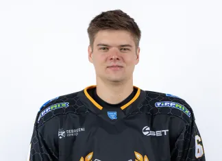 Илья Цулыгин: Венгры следят за КХЛ Илья Цулыгин: Венгры следят за КХЛ