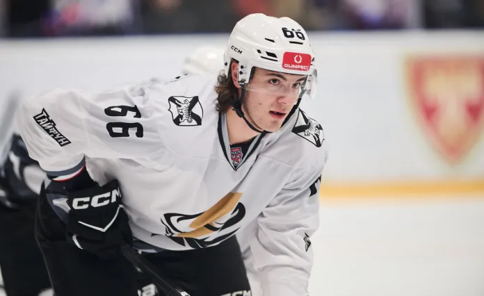 МХЛ. Ассист Коржова, активность Вергейчика и полезность Крикуненко — статистика белорусов 1 ноября