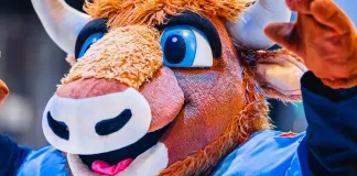 Маскотом минского «Динамо» работает айтишник. Он рассказал о своей миссии