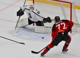 МХЛ. Крикуненко забил, Альшевский отдал передачу, надёжная игра Дымкова и Рудовича — статистика белорусов 8 ноября