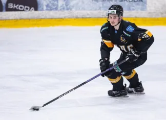 «Дошло бы до уголовного дела». Михаил Бучкин — о тренерском составе мечты для команды КХЛ