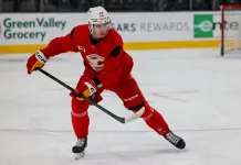 Стало известно, в каком звене Егор Шарангович сыграет против «Сент-Луиса»