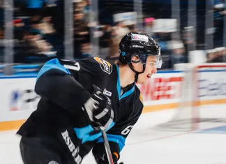 Алексей Шевченко: Егор Бориков – белорусская надежда