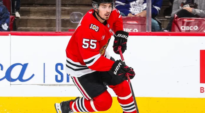 НХЛ. Дуэль Егора Шаранговича и Артёма Левшунова, дебют Владислава Колячонка в сезоне – статистика белорусов 19 ноября