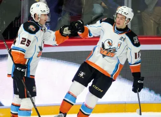 АХЛ. Два ассиста Сидорова, победный матч Колосова — статистика белорусов 20 ноября