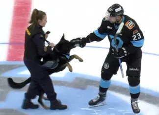 Видео: Капитана минского «Динамо» укусила собака на символическом вбрасывании