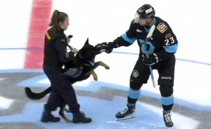 Видео: Капитана минского «Динамо» укусила собака на символическом вбрасывании