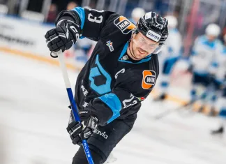 Алексей Шевченко пошутил о курьёзном моменте с собакой перед игрой «Динамо-Минск» — ЦСКА