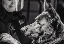 Никита Щитов — об инциденте перед матчем минского «Динамо»: Собаке было неприятно. Хоккей — это не цирк