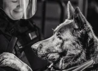 Никита Щитов — об инциденте перед матчем минского «Динамо»: Собаке было неприятно. Хоккей — это не цирк