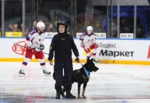 Экс-сотрудница минского «Динамо» — об инциденте с собакой: «Кому пришло в голову? Что они там курят?»