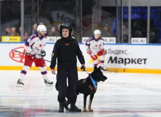 Экс-сотрудница минского «Динамо» — об инциденте с собакой: «Кому пришло в голову? Что они там курят?»