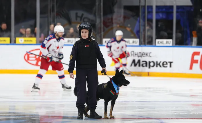 Экс-сотрудница минского «Динамо» — об инциденте с собакой: «Кому пришло в голову? Что они там курят?»