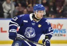 Игрок OHL дисквалифицирован до конца сезона за удар клюшкой по голове соперника