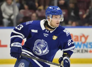 Игрок OHL дисквалифицирован до конца сезона за удар клюшкой по голове соперника