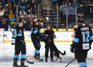 Видео: Андрей Стась помирился со служебной собакой Спайком после эпизода на вбрасывании