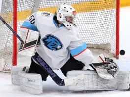 МХЛ. «Динамо-Шинник» в гостях уступил петербургскому «Динамо»