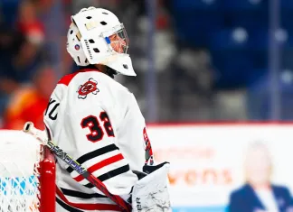 CHL. Брызгалов продлил результативную серию, Ермоленко отбил 37 бросков – статистика белорусов 29 ноября